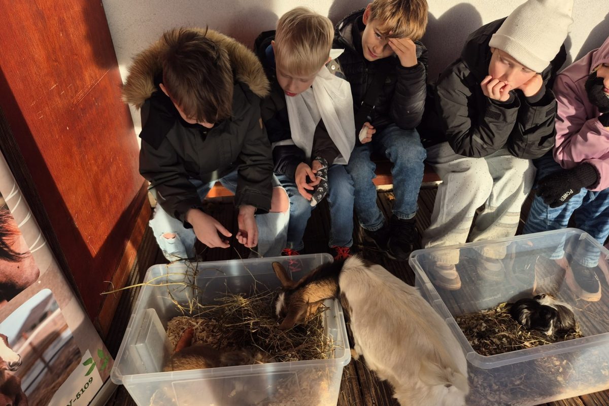 3. klases skolēnu tikšanās ar mini zoo “Karlīnas”.