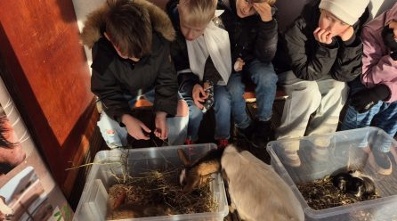 3. klases skolēnu tikšanās ar mini zoo “Karlīnas”.