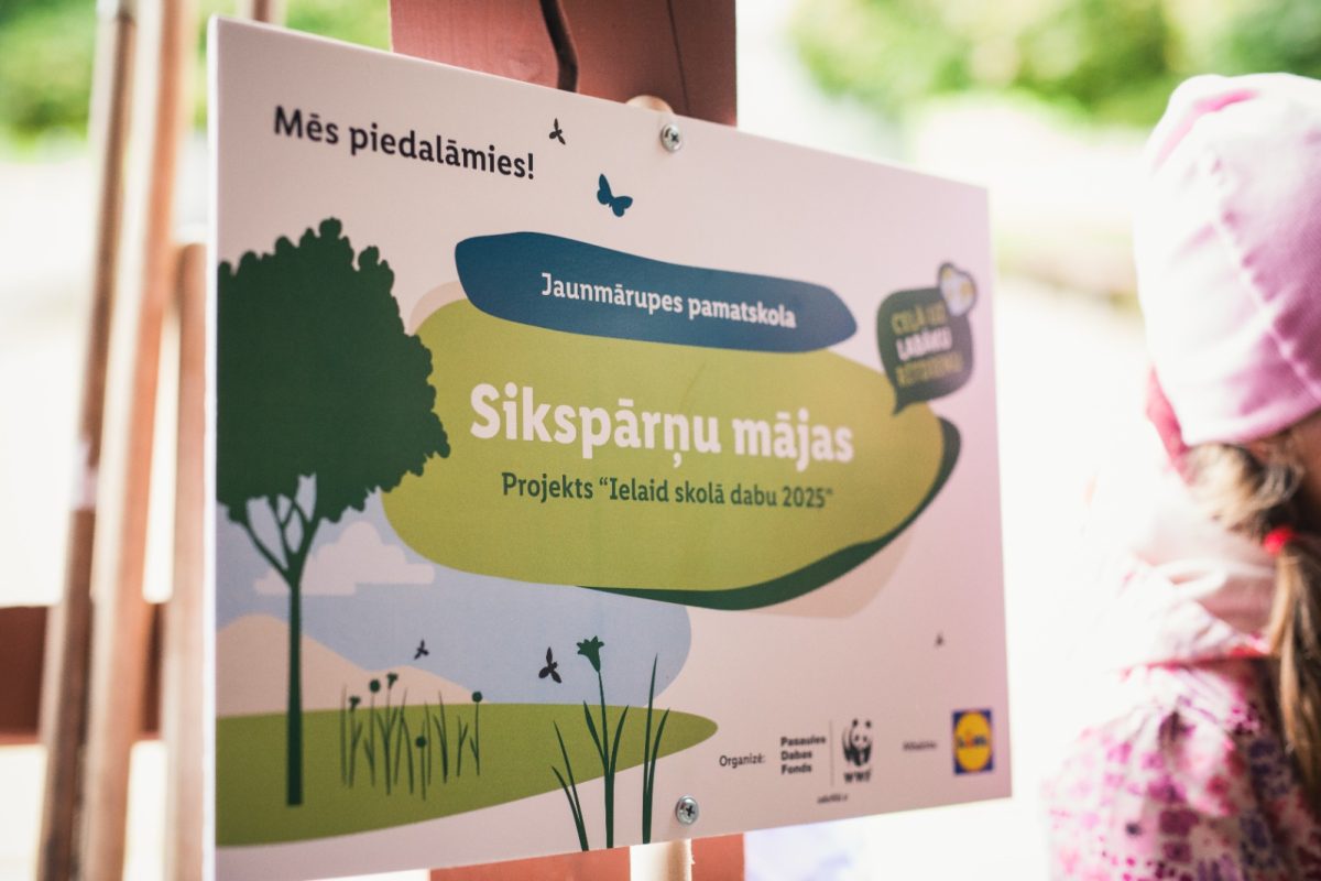 “Ielaid skolā dabu” – Jaunmārupes pamatskola izveido sikspārņu mājas