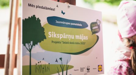 “Ielaid skolā dabu” – Jaunmārupes pamatskola izveido sikspārņu mājas