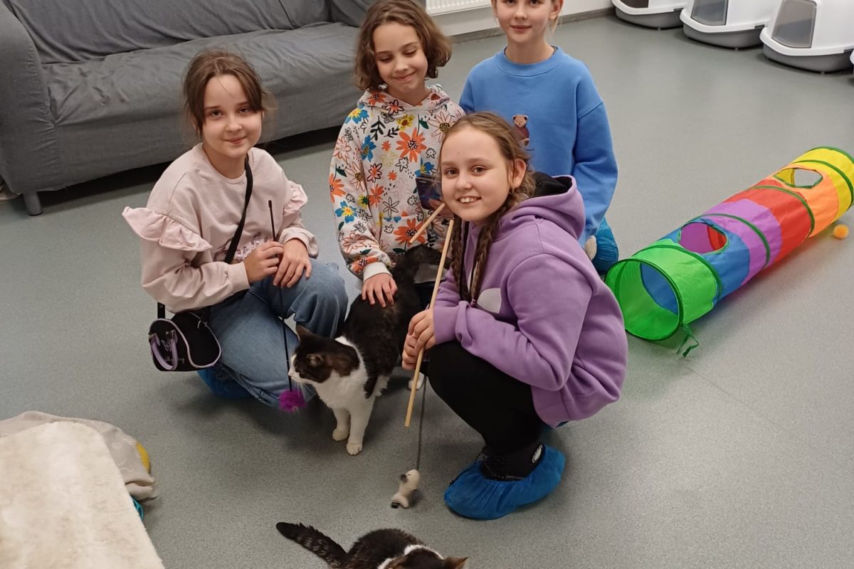 3.b klases labdarības mēnesis un vizīte kaķu palīdzības centrā“Remi”