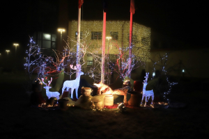 Gaismas instalāciju parks 2021 “Apburtais mežs” – FOTO