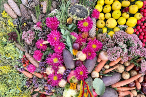 Miķeļdienas izstāde 2023 “Skaņas mandala”