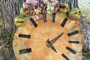 Rudens velšu izstāde 2025 “Dabas pulkstenis”